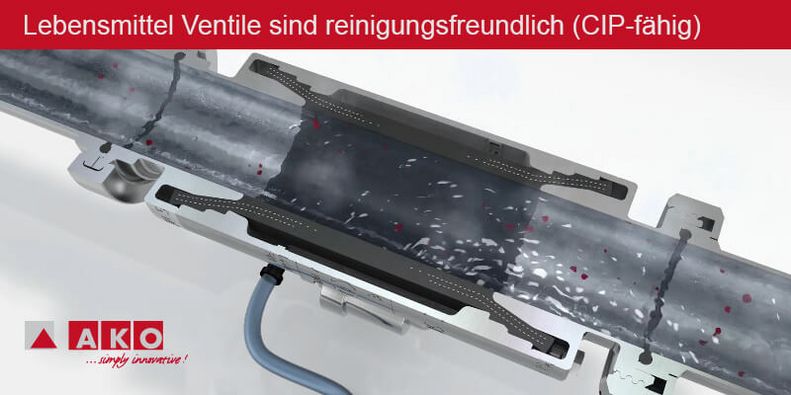 Reinigung eines Lebensmittel Ventils mittels CIP-Verfahren