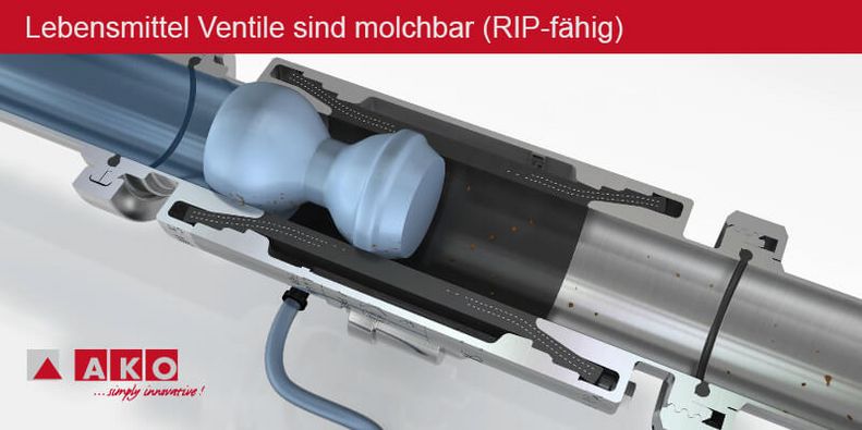 Molchen eines Lebensmittel Ventils mittels RIP-Verfahren